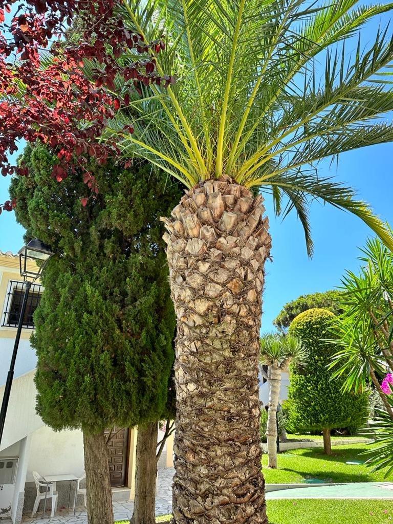 Casa De Emilia Vera Coast Playas de Vera Kültér fotó